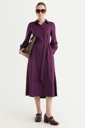 Rareism Women's Eleia Maroon Viscose Collared Neck A-Line Plain Midi Dress